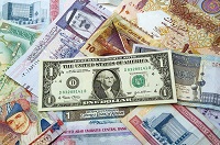 Rupee appreciates against UAE’s Dirham