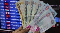 UAE inflation set to drop next year